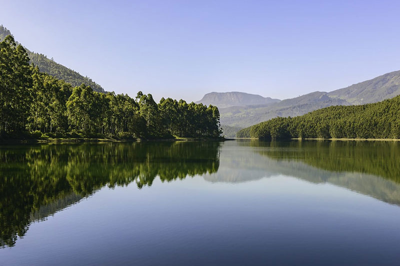 Eco Point in munnar