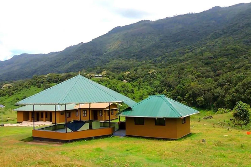 Pampadum Shola National Park in Munnar