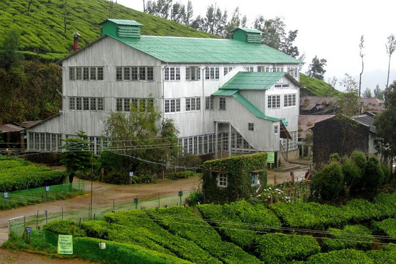 tea-factory in munnar