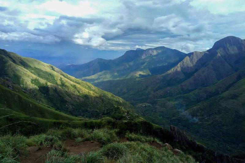 Top Station in Munnar