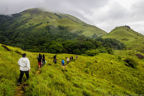 Mattupetty Dam in munnar